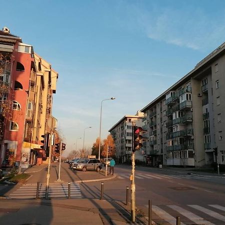 Oasis Felix Apartment بلغراد المظهر الخارجي الصورة