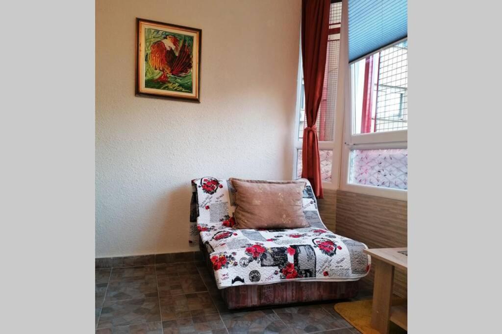 Oasis Felix Apartment بلغراد المظهر الخارجي الصورة