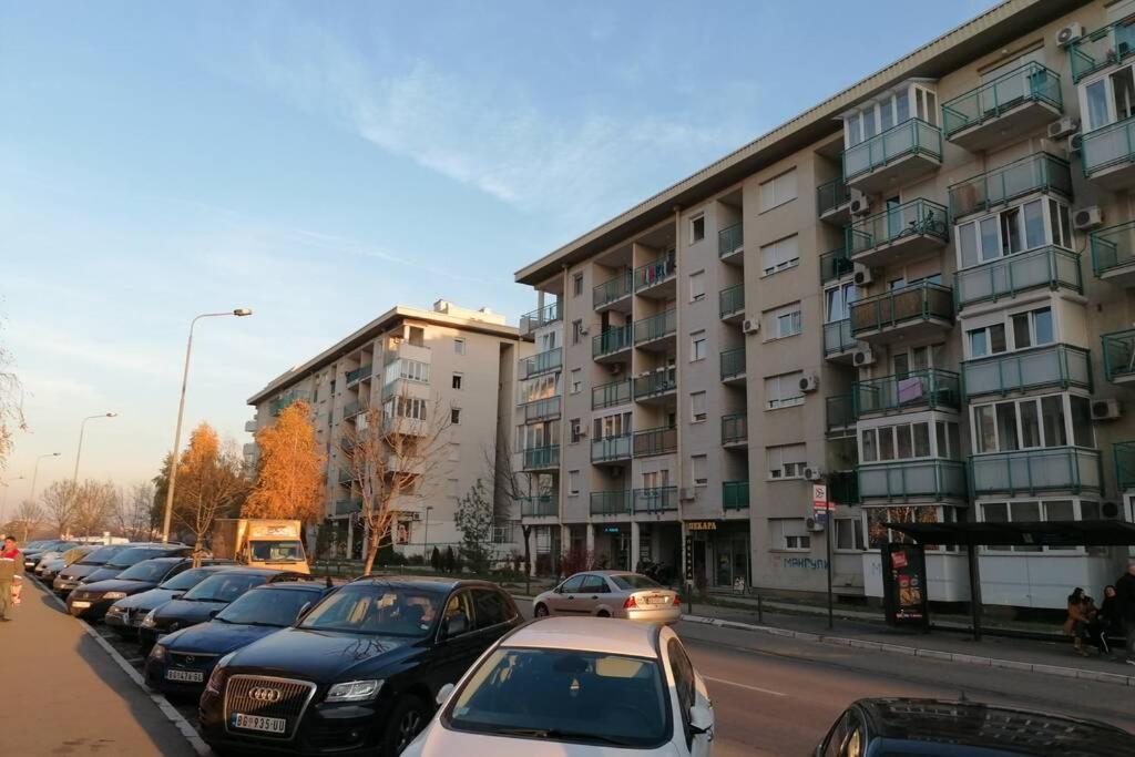 Oasis Felix Apartment بلغراد المظهر الخارجي الصورة